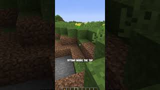 WorldEdit Hacks 3 How To Make CUSTOM RIVERS in Minecraft [upl. by Boggs]