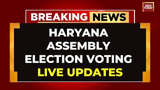 LIVE Haryana Assembly Elections Voting LIVE  MultiCornered Electoral Battle In Haryana [upl. by Oelc]