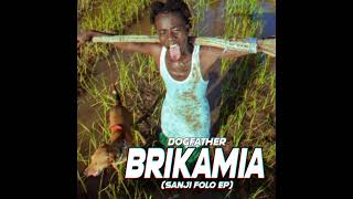 Dogfather  Brikamia Audio [upl. by Fidelis]