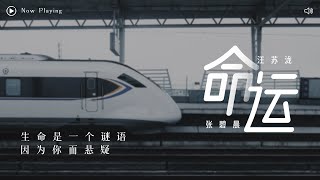 动态歌词lyrics  家家 《命运》（Cover by张碧晨amp汪苏泷）“我属于你的注定 不属于我的命运 不要命 不要清醒 还有梦能紧紧抱着你“ [upl. by Paddie595]