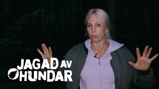 Historien om Skogen  Malin Gramer på inspelningsplats för Jagad av hundar Tv3 [upl. by Etteve]