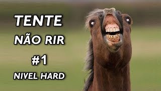 Tente Não Rir Nível Hard 1 [upl. by Yltnerb]