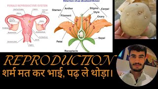 Reproduction in Plants JKSSB JKpolice SSC  CDS AFCAT [upl. by Alemrac652]