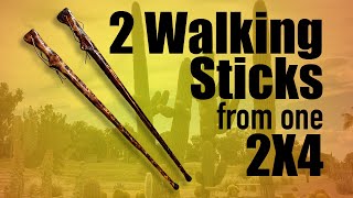 Walking sticks made easier [upl. by Claus]