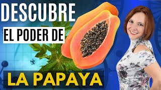 Los Beneficios ANTI ENVEJECIMIENTO y ANTICANCER de la Papaya [upl. by Nedry]