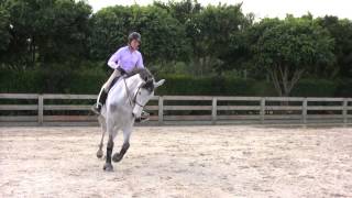 Cynthia Hankins Favorite Exercises on the Flat [upl. by Davidson]