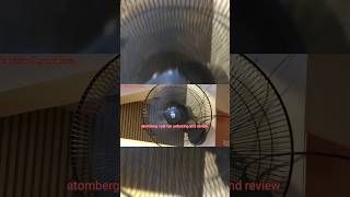 atomberg vaal fan unboxing and review viralvideo shorts TechnicianDnyaneshwar [upl. by Aihsrop]