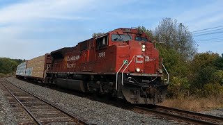 TRANSIT CARS CP 7059 at Palgrave SEP 20 2024 [upl. by Annairol903]