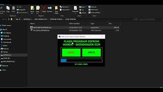FLASH PROGRAM EEPROM ECM SHINDENGEN [upl. by Brendis283]