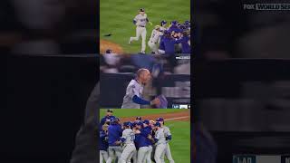 WorldSeries champs from every angle [upl. by Walke]