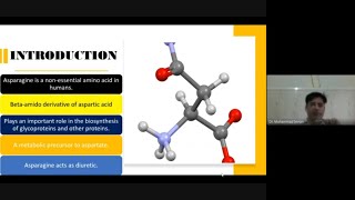 Asparagine and Aspartate Metabolism make it easy [upl. by Alorac326]