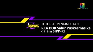 Tutorial ePlanning  Penginputan RKA BOK Salur Puskesmas 2024 ke SIPDRI [upl. by Noiramaj]