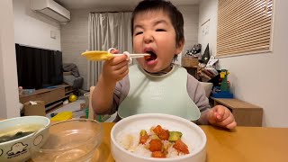 【3歳】ポキ丼を食べる！ 3 years old Eating a bowl of pokedon [upl. by Dietz]