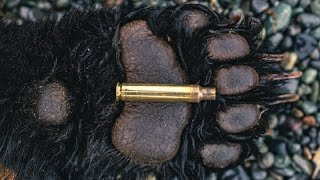 THE PROOF An Alaskan Bear Hunt [upl. by Vere974]