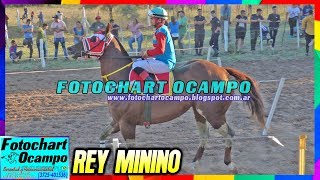 REY MININO  Pampa de los GuanacosSE 06102019 [upl. by Yarrum]