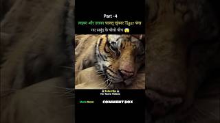 Life Of Pi Movie Explained In HindiUrdu Part 4 shorts [upl. by Noyart]