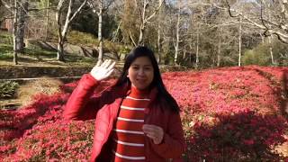 EVERGLADES HISTORIC HOUSE amp GARDENS in Leura NSW Australia  Travel Vlog [upl. by Euhsoj]