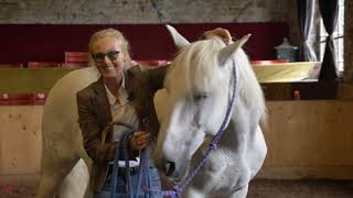 Marie Massmann  Vorstellung Horse Focus Training [upl. by Jannelle]