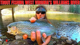 Trout Fishing West Virginias Williams River [upl. by Ennis]