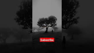 Rahman ya Rahman allah Islamic 1million shorts islamicvideos 🥰 youtubeshorts shortsfeed funny [upl. by Samalla]