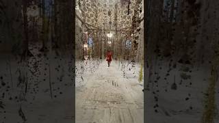 The Archive by Rebecca Louise Law at the Cleveland Public Library  shorts [upl. by Starbuck618]