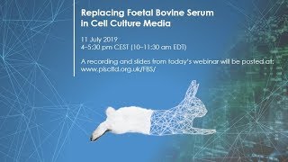 Replacing Foetal Bovine Serum in Cell Culture Media [upl. by Mordecai]