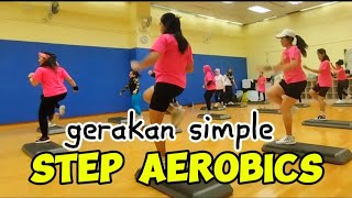 🔴 STEP AEROBICS BEGINNERS 2024 [upl. by Nahamas]