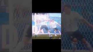 Pavard Goal [upl. by Ierna]