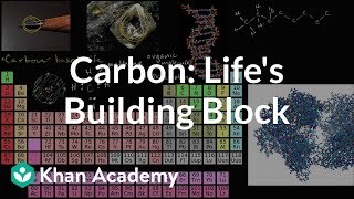 Carbon as a building block of life  Properties of carbon  Biology  Khan Academy [upl. by Funch]