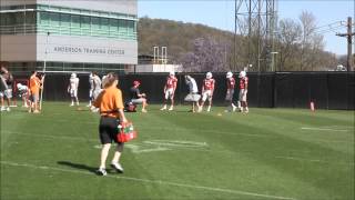 Tennessee spring football practice on April 10 2014 [upl. by Ahsertal]