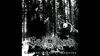 Carelian Satanist Madness Satanic Warmaster [upl. by Adnotal]