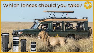 Which lenses should you take on a MASAI MARA Safari [upl. by Pomeroy]