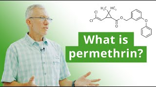 A Brief History of Permethrin Where it Comes from and How it Works [upl. by Babb]