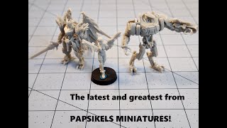 Catching up with Papsikels Minis July 23 edition [upl. by Osgood8]