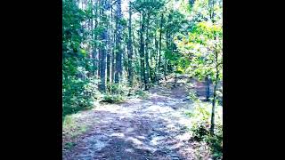 Steep climb up the mountains mountains nature travel bulgaria путешествия природа горы [upl. by Derr]