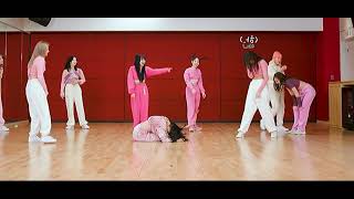 Tzuyu funny fails in quotScientistquot dance practice [upl. by Isia]