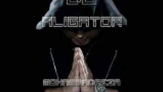 DJ ALIGATOR ALI MOVASAT  CALLING YOU  2009  Full HQ [upl. by Salvidor]