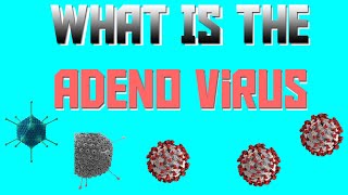 What Is The Adenovirus [upl. by Koetke]