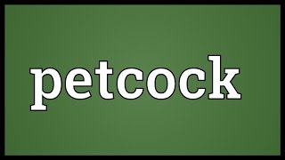 Petcock Meaning [upl. by Pimbley528]