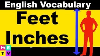 How to Measure in English  Feet and Inches 📏  Imperial vs Metric System [upl. by Anerrol]