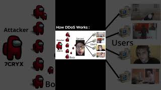 How DDoS attack Works  HackerPentester [upl. by Iemaj]