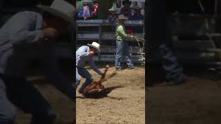 calf roping and tying rodeo cowboy shorts [upl. by Eudosia]