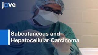 Subcutaneous and Hepatocellular Carcinoma Xenografts  Protocol Preview [upl. by Aynav147]