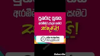 AKD වැඩක් ක්ලීන් පාර්ලිමන්ට් npp malimawa akd anurakumaradissanayake parlimentelection2024 [upl. by Bathelda]