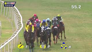 ECO FREINDLY THE CHAMPION JOCKEY TROPHY DIVII161 [upl. by Neehsar]