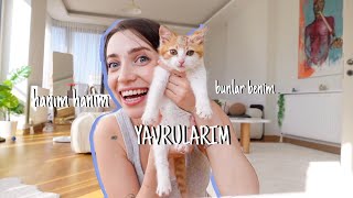 ben artık ana oldum  minivlog🐱 [upl. by Yekim846]