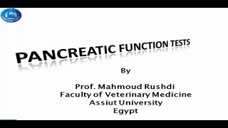 Pancreatic Function Tests Arabic lecture 2015 [upl. by Burwell347]