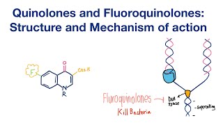 Fluoroquinolones and Quinolones Structure and Mechanism of action  Infectious Disease [upl. by Enimassej359]