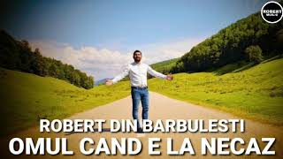 Robert Din Barbulesti  Omul când e la necaz cover 2021 [upl. by Kalbli]