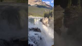 Athabasca Falls in Jasper [upl. by Nancee]